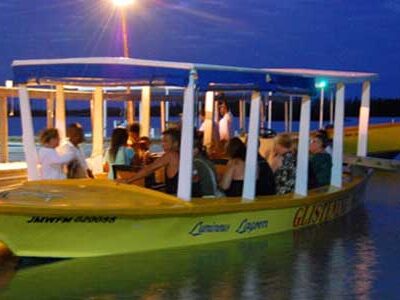 Luminous Lagoon Night Tour